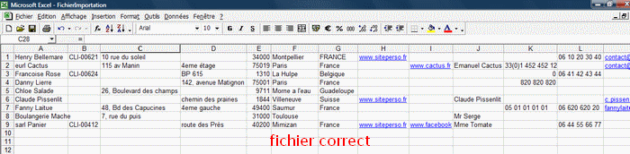 Exemple de fichier correctement renseigné
